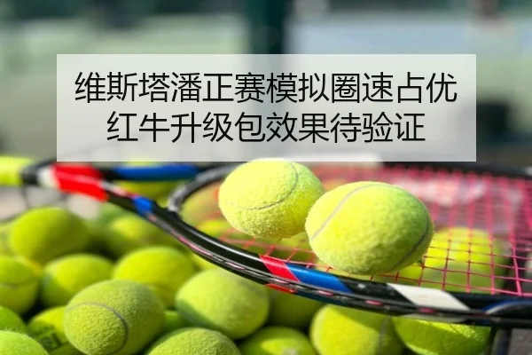 维斯塔潘正赛模拟圈速占优 红牛升级包效果待验证