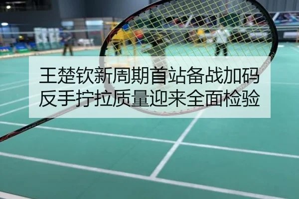 王楚钦新周期首站备战加码 反手拧拉质量迎来全面检验