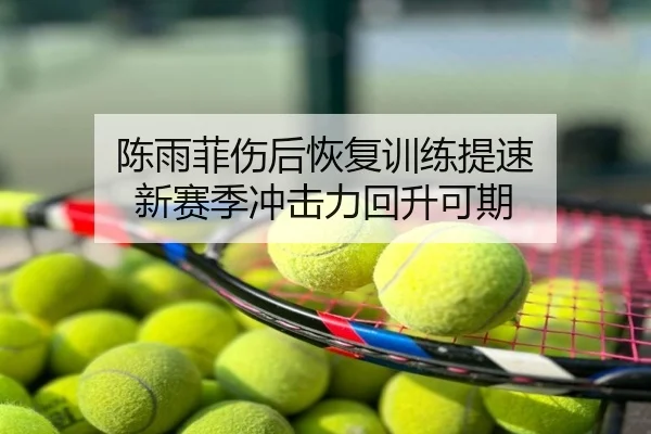 陈雨菲伤后恢复训练提速 新赛季冲击力回升可期